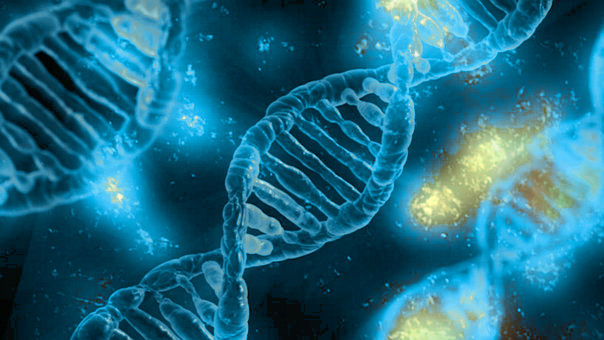 Home (NEW) 5 Molecular genetics.jpg