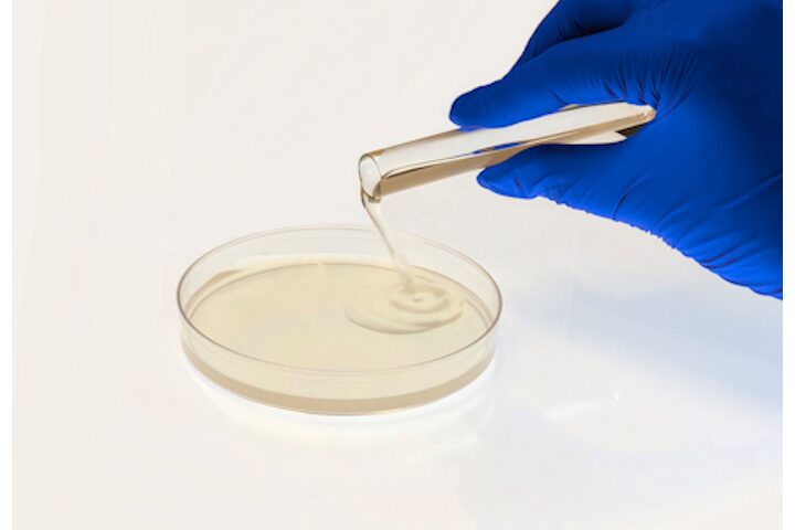 Home (NEW) 1 Top Agar1