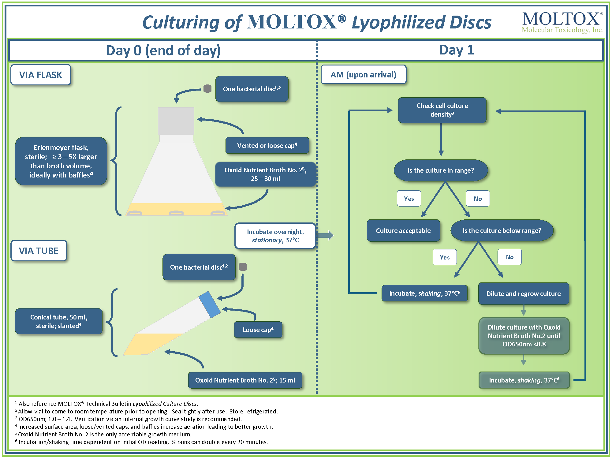 Culture Growth Flow Chart
