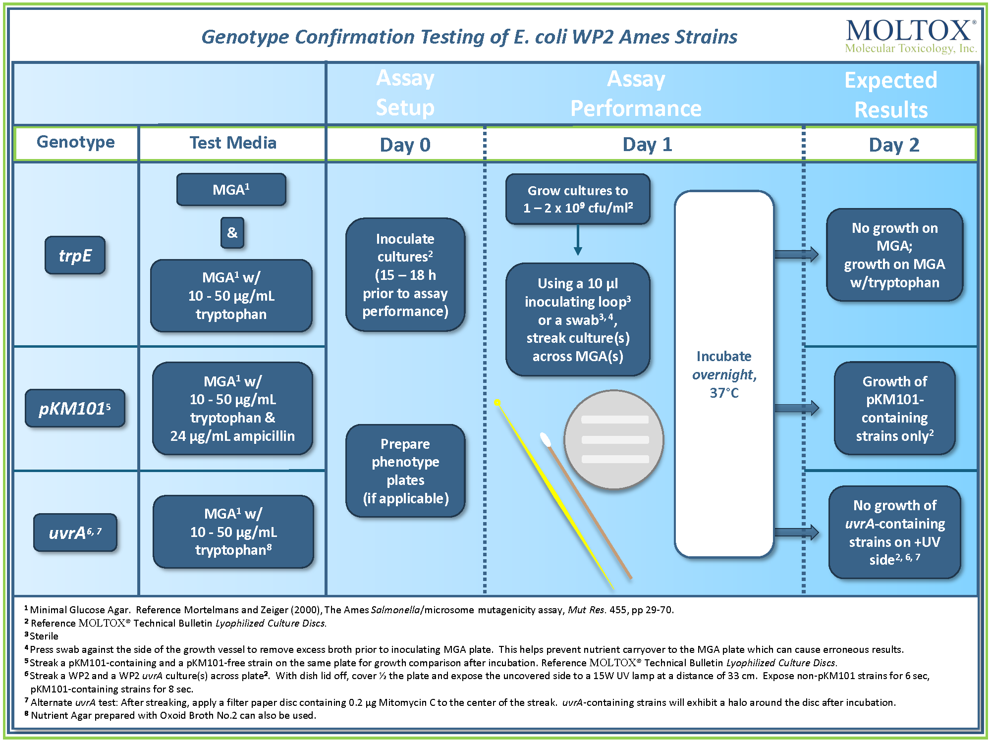 EC Phenotyping Flow Chart