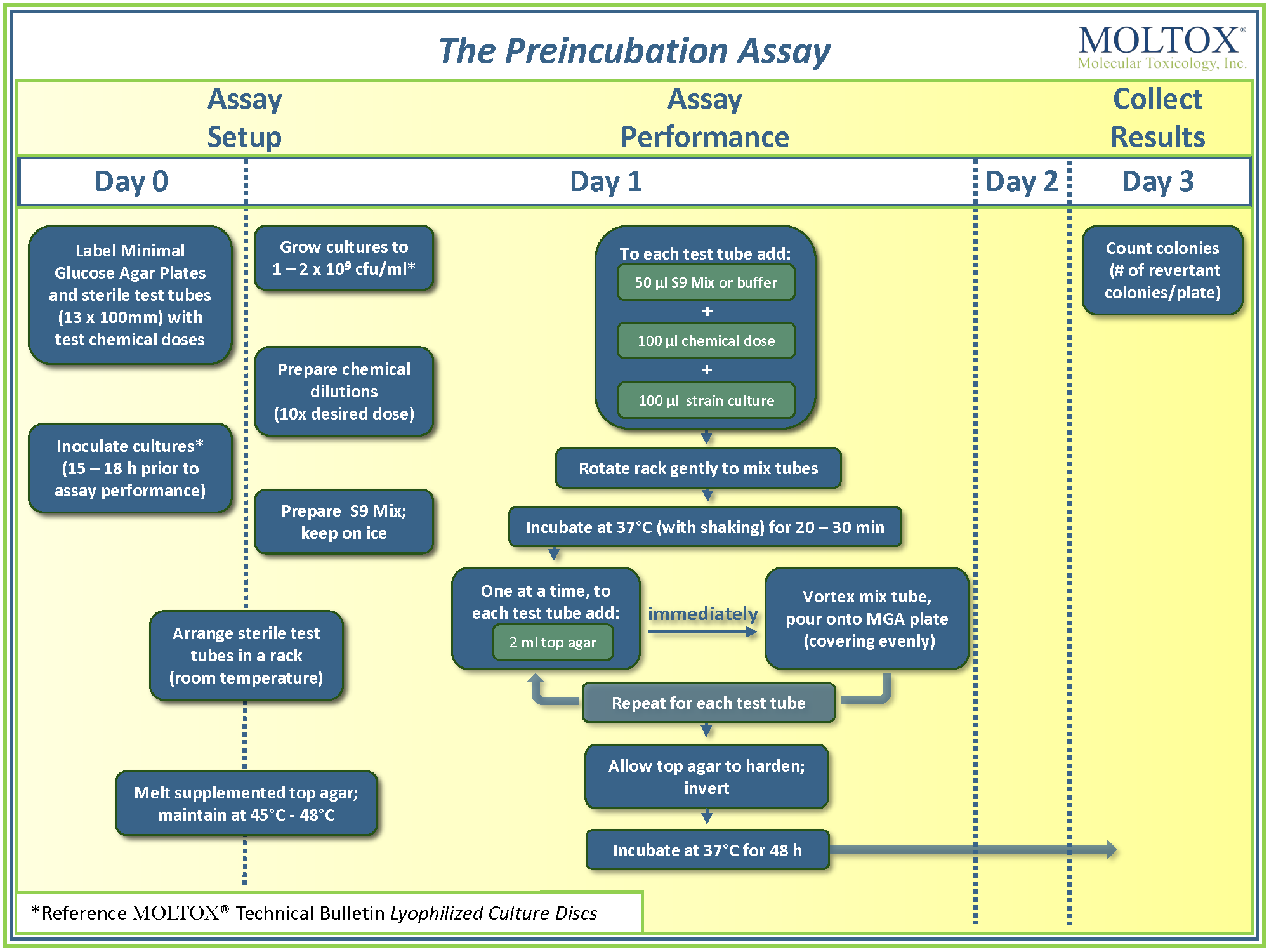 Pre-incubation Assay Flow Chart