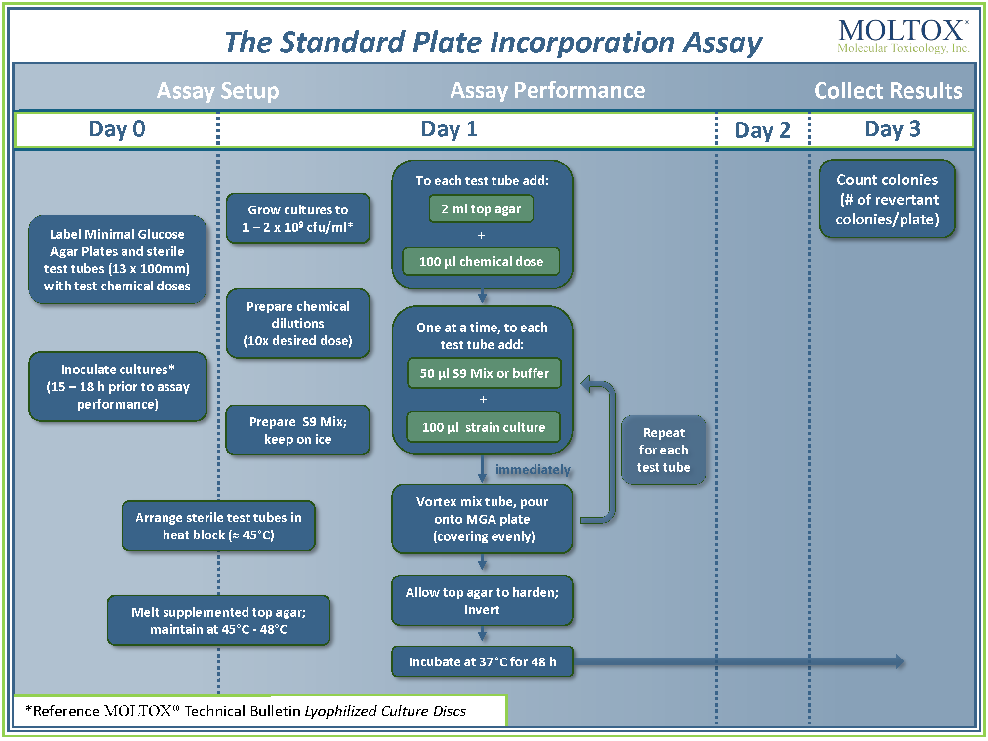 Plate Incorporation Assay Flow Chart